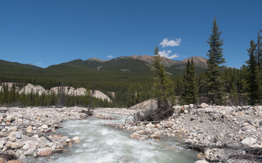 Pretty Canadian, eh?