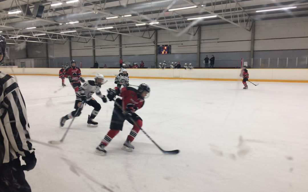 První sníh ❄️⛄️