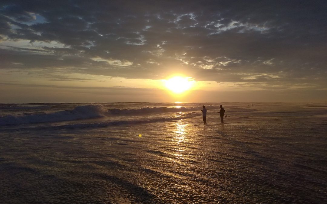 Co se za dlouhou dobu stalo…