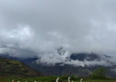 Studium v zahraničí - Peru