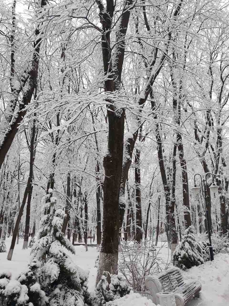Zimný park v Starej Russi